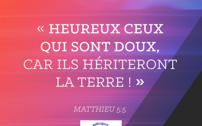Mathieu 5 verset 5