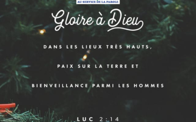 Méditation du jour :  « Gloire à Dieu et paix sur la terre » (Luc 2:14)