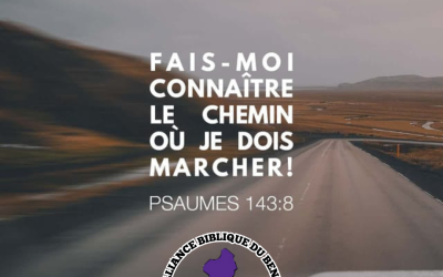Méditation du jour : « Fais-moi connaître le chemin où je dois marcher ! »