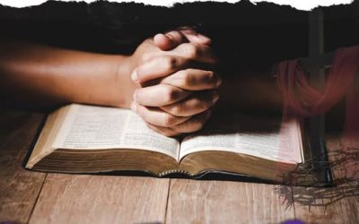 Pensées de Pâques pour ceux qui vivent l’épreuve ✝️