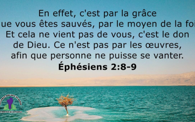 Méditation du jour: Sauvés par la grâce, non par les œuvres (Ephésiens 2:8-9)