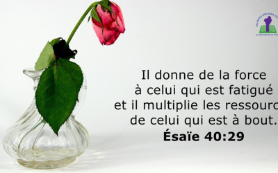 Méditation du jour : Dieu renouvelle nos forces au cœur de notre faiblesse