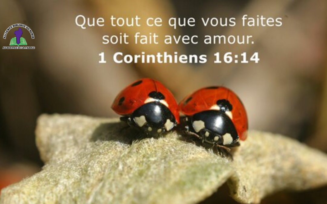 Méditation du jour : Tout en amour (1 Corinthiens 16:14)