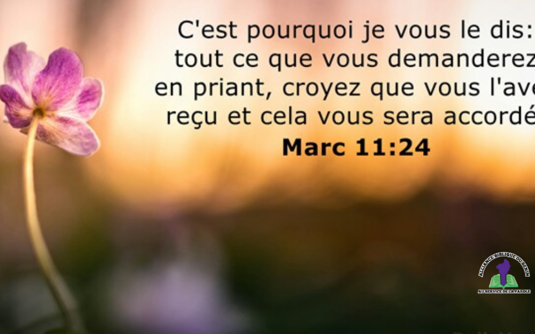 Méditation du jour : « Crois que tu reçois » (Marc 11:24)