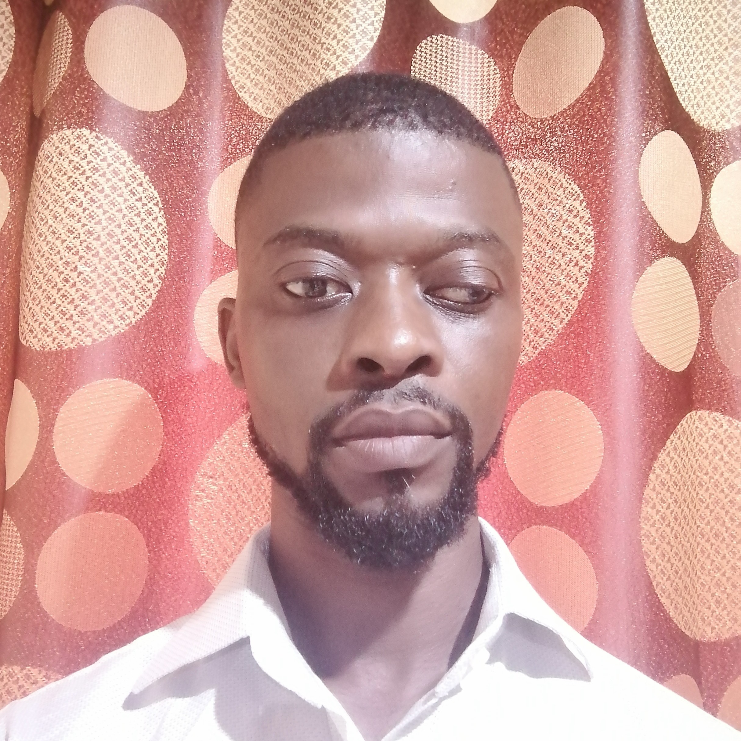 TAO Moise