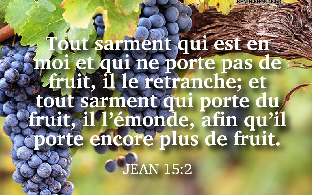 Méditation du jour : “Dieu émonde ceux qu’Il aime”