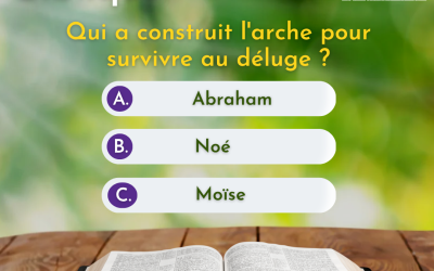 Quiz Biblique : Qui a Construit l’Arche de Noé ? | ABB